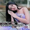 About Sekedar Haluan Song
