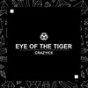 Eye Of The Tiger (Rocky song)-Extended Mix