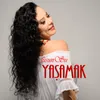 About Yaşamak Song