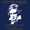 Freude schöner Götterfunken-On the theme of the Ode to Joy