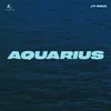 About Aquarius Song