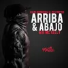 About Arriba & Abajo Song