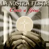 La nostra festa