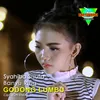 About Banyu Ring Godong Lumbu Song