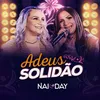 About Adeus Solidão Song