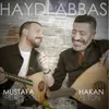 About Haydi Abbas Song