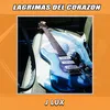 About Lagrimas del Corazon Song