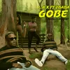 About Gobe Song