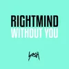 About Without You Song