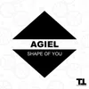 Shape of You-Radio Edit