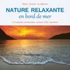 Nature relaxante - plage de galets