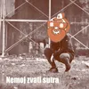 About Nemoj zvati sutra Song