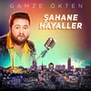 About Şahane Hayaller Song