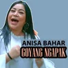 About Goyang Ngapak Song