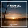 About If You Feel Song