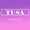 About Tusa-Remix Song
