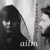 Blackbird-Radio Edit