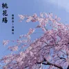 桃花殇-伴奏