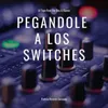 About Pegandole a Los Switches-Remix Song