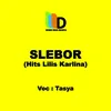 Slebor Hits Lilis Karlina