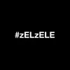 About #zELzELE Song