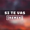 About Si Te Vas-Remix Song