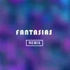 About Fantasias Remix Song