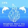 Dolphins Don't Cry-Luke Mornay Edit