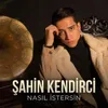 About Nasıl İstersin Song