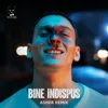 Bine Indispus-Extended Mix