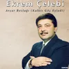 About Avşar Bozlağı-Kalktı Göç Eyledi Song
