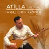 Vay Deli Gönül