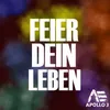 About Feier Dein Leben-Bk Edit Song