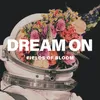 About Dream On Song