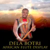 Fly Me to the Moon-African Flute