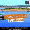 About Chandigarh da Tu Munda Song