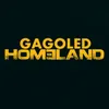 About Homeland Song