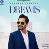 About Dreams Song