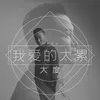 About 我爱的太累 Song