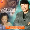 About Mohabbat Zeher Hai Song
