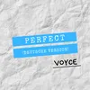 About Perfect-Deutsche Version Song