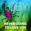 About Never Going to Love You Song