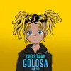 About Golosa-HJM Mix Song