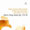 String Sextet No. 1 in B-Flat Major, Op. 18: I. Allegro ma non troppo