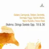 String Sextet No. 1 in B-Flat Major, Op. 18: III. Scherzo. Allegro molto