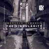 About The Singularity Song