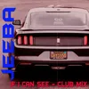 About If I Can See-Club Mix Song