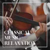 Symphony No. 1 in D Major, Op. 25 "Classical": IV. Molto Vivace