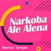 About Narkoba Ale Alena Song