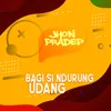 About Bagi Si Ndurung Udang Song